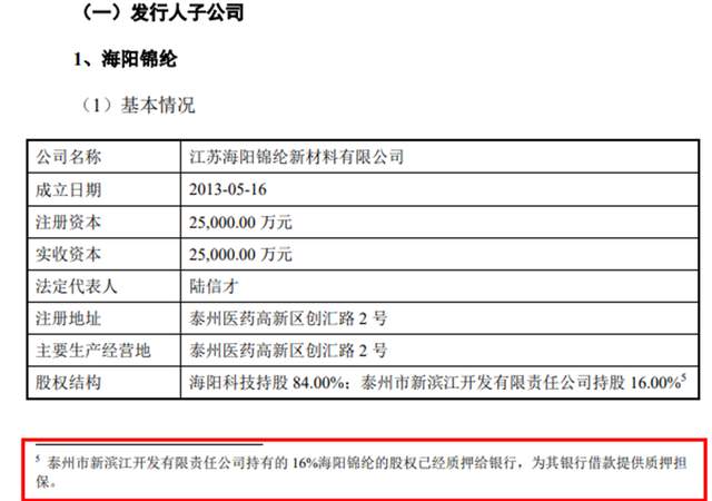 海阳科技IPO:8亿转贷疑云未散 业绩变脸与股价崩盘引关注(图9)