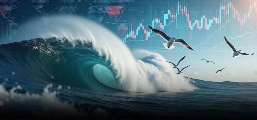 葛卫东“盯上”这只，海洋经济彻底火了！