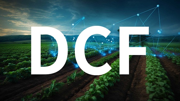 ںſƣ߽ DCF̳