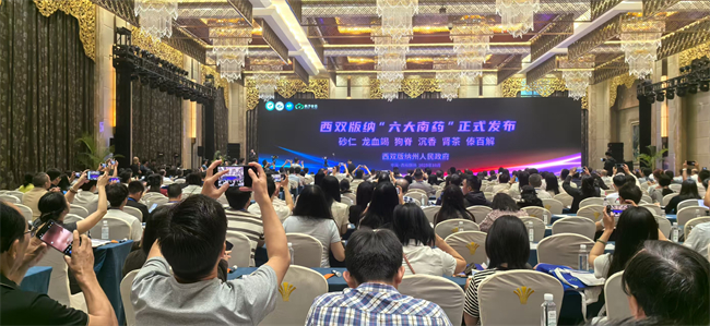 “六大南药”之一肾茶发布!昆药集团亮相云南省中药材产业盛会
