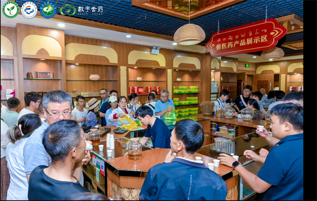“六大南药”之一肾茶发布!昆药集团亮相云南省中药材产业盛会