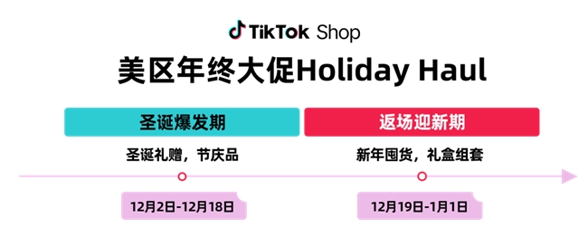 ͣЪTikTok ShopմHoliday Haul