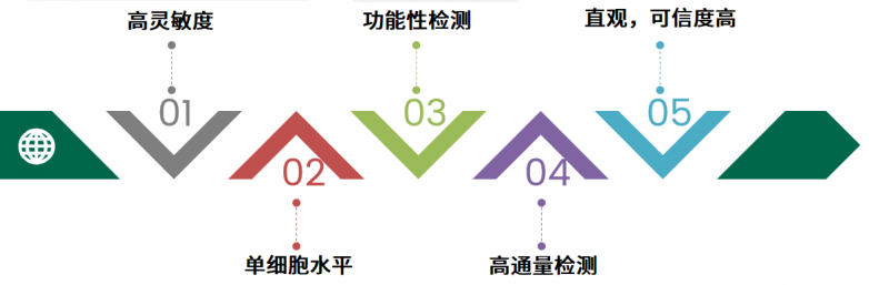 ����������Ʒ��Ϯ��ELISpot�Լ������ڵ�ϸ��ˮƽϸ�����Ӽ��