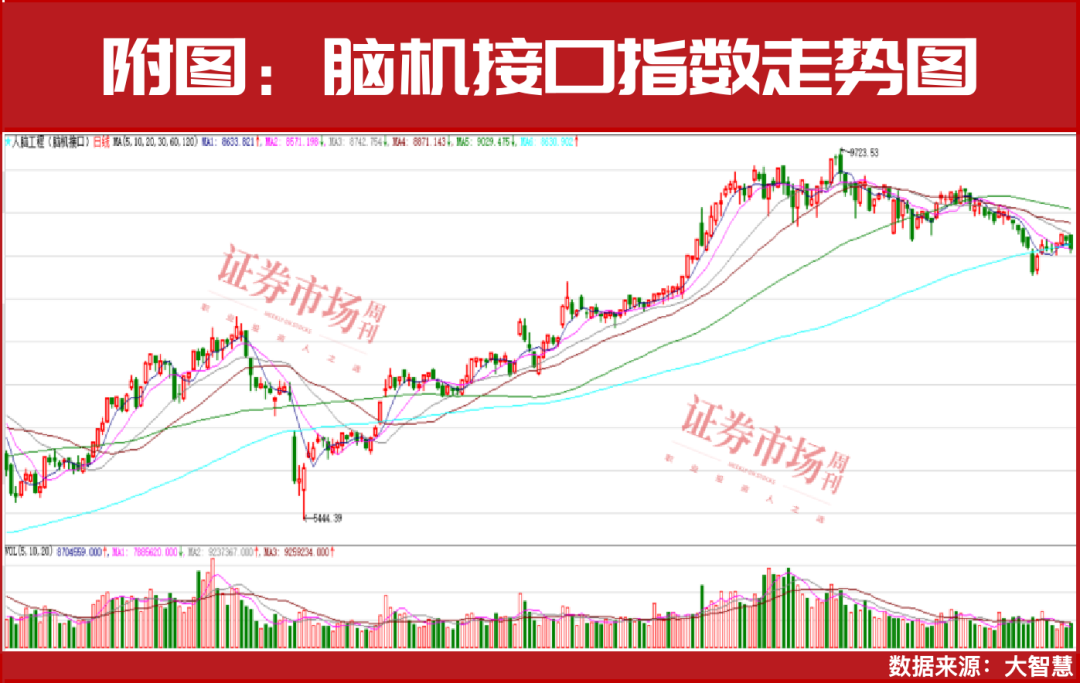 取得关键突破！脑机接口迎确定性机会，下一只翻倍股是谁？