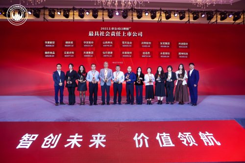 ��ŵ˼�ٻ�2025���й�˾���������ν�������������רҵ����CRO�����±��