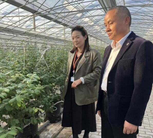 ƽ��������Ǩ�ֹ�˾�����ʡ�����ɫ����ת�ͣ���ֲ��ֲ������������