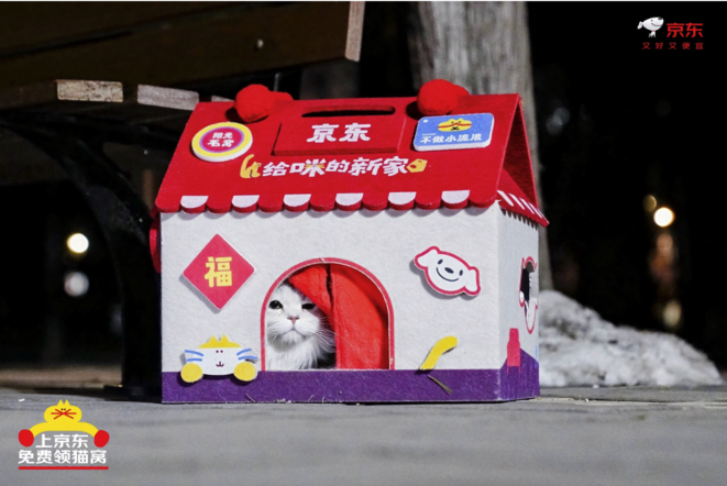 ��������С�ҵ�����������è�ѡ��ƻ� ȫ��Ͷ��10000����ůè��