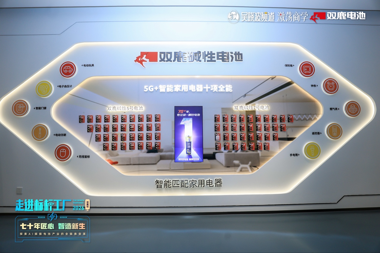 吴晓波走进双鹿电池:一颗电池背后藏着制造业的长期能力(图10)