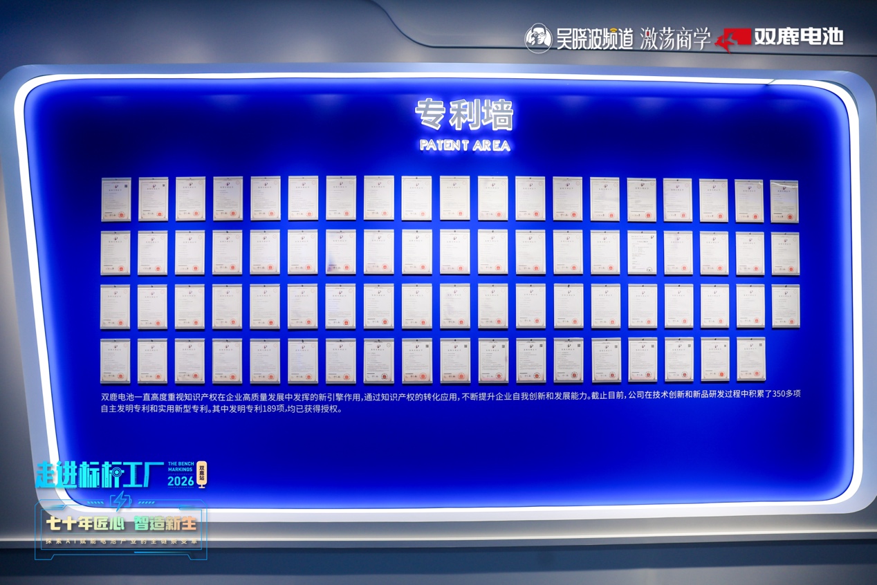 吴晓波走进双鹿电池:一颗电池背后藏着制造业的长期能力(图7)