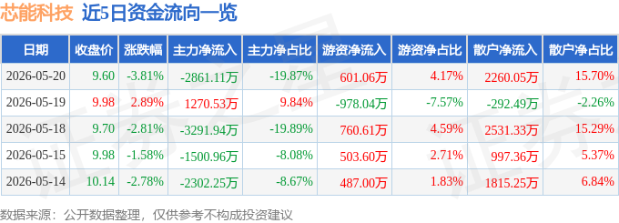 芯能科技(603105)5月20日主力资金净卖出286111万元(图1)