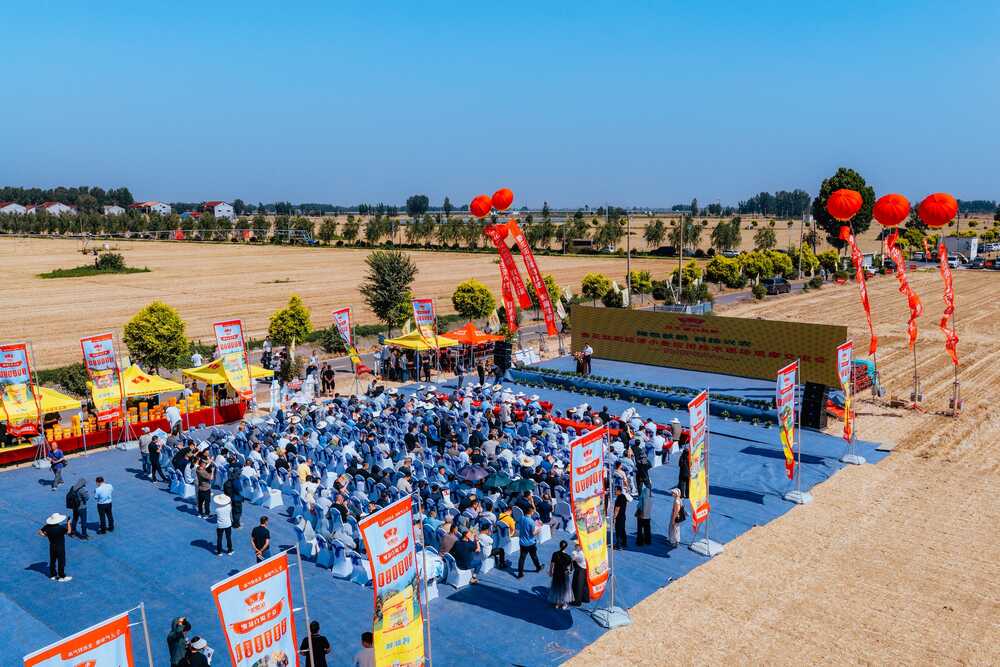 一粒花生的“绿色新生”——鲁花控股集团成功研发花生蛋白肽肥(图3)