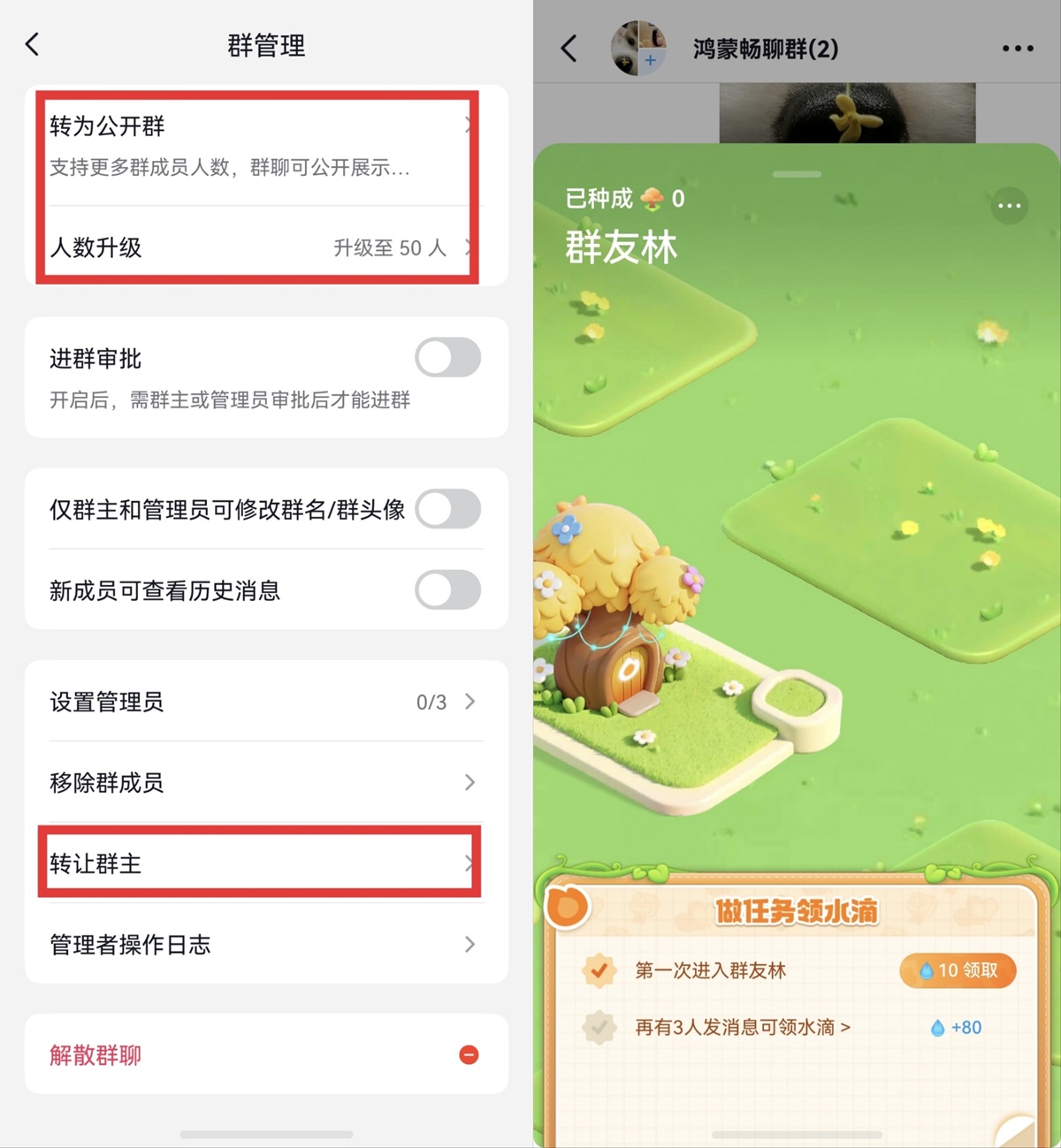 抖音团购怎么上团购链接 20260704601033.jpg