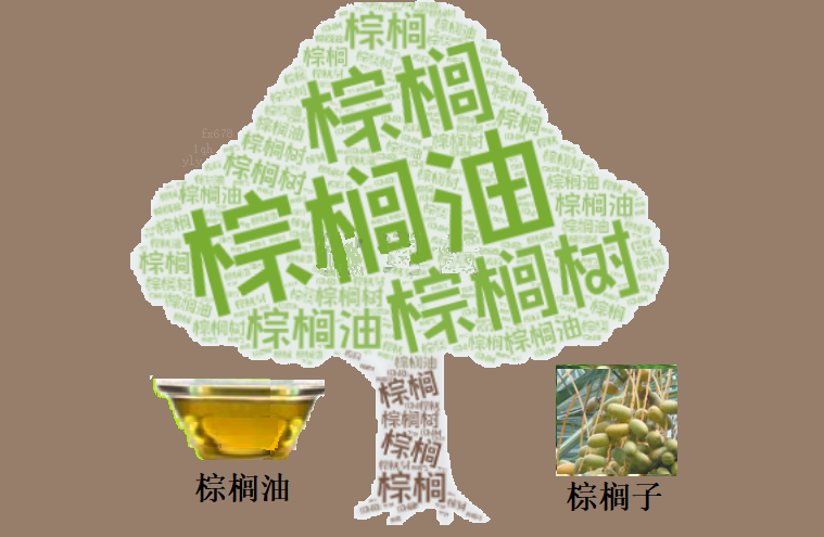 豆油反超、出口双位数下滑，棕榈油五连涨后迎来“刹车”考验